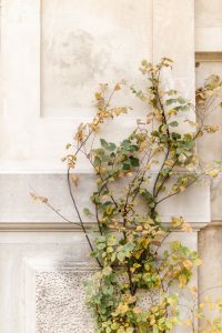 Hochzeitsfotograf Berlin Brandenburg Kulturschloss Roskow