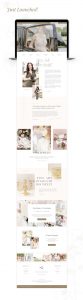 branding berlin redesign fotografen website